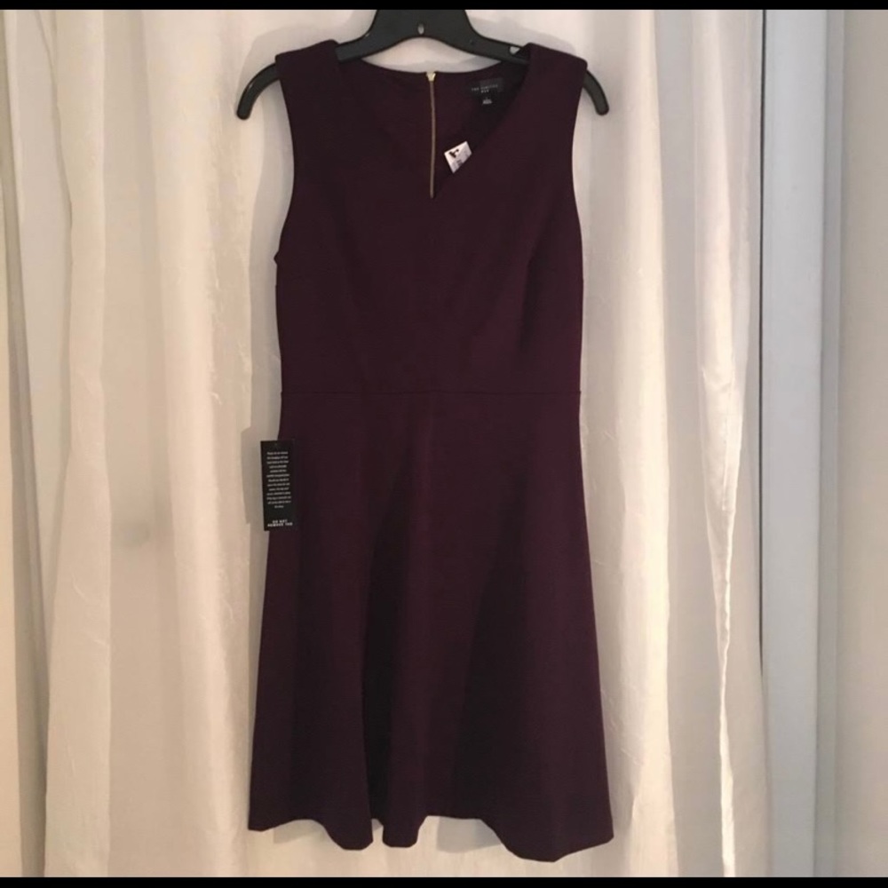 The Limited V-neck Fit and Flare Dress